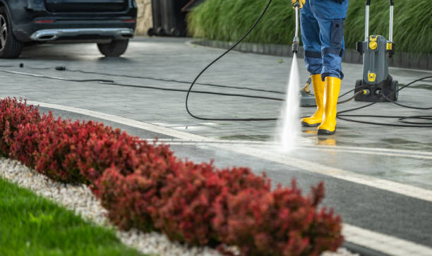 Best Residential Pressure Washing Services  in Orion, IL